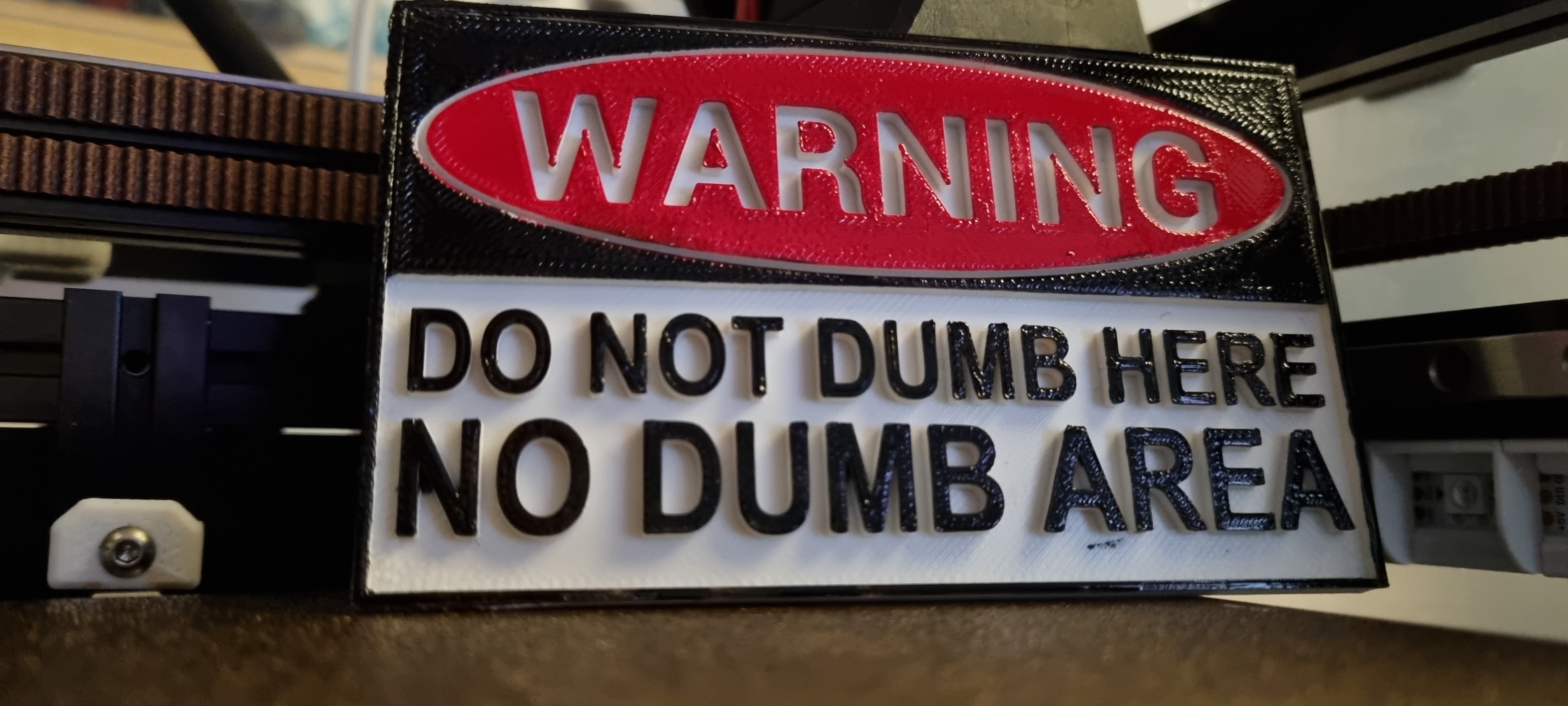 Miniatura 2 do modelo 3D Do Not Dumb Here