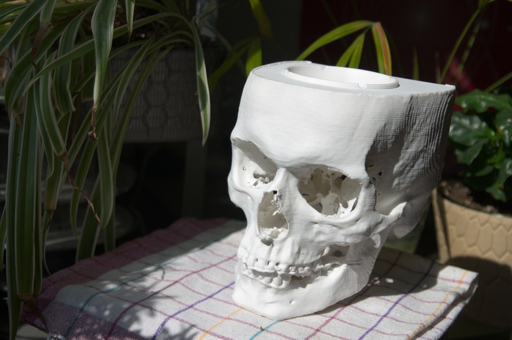 skull ashtray