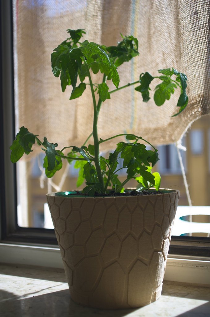 honeycomb planter #2