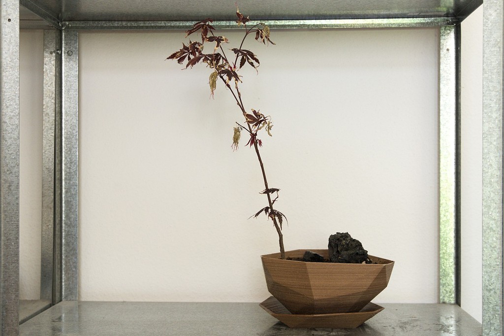 Planter #2