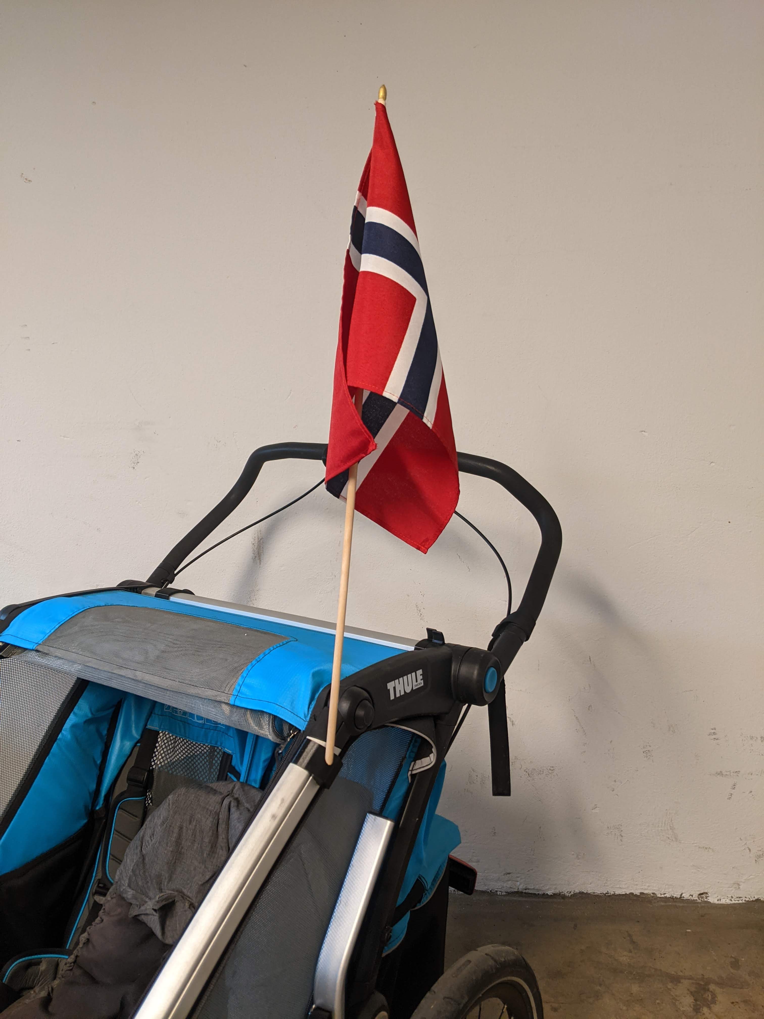 Thule Stroller Flag Holder by Erlbeck Download free STL model