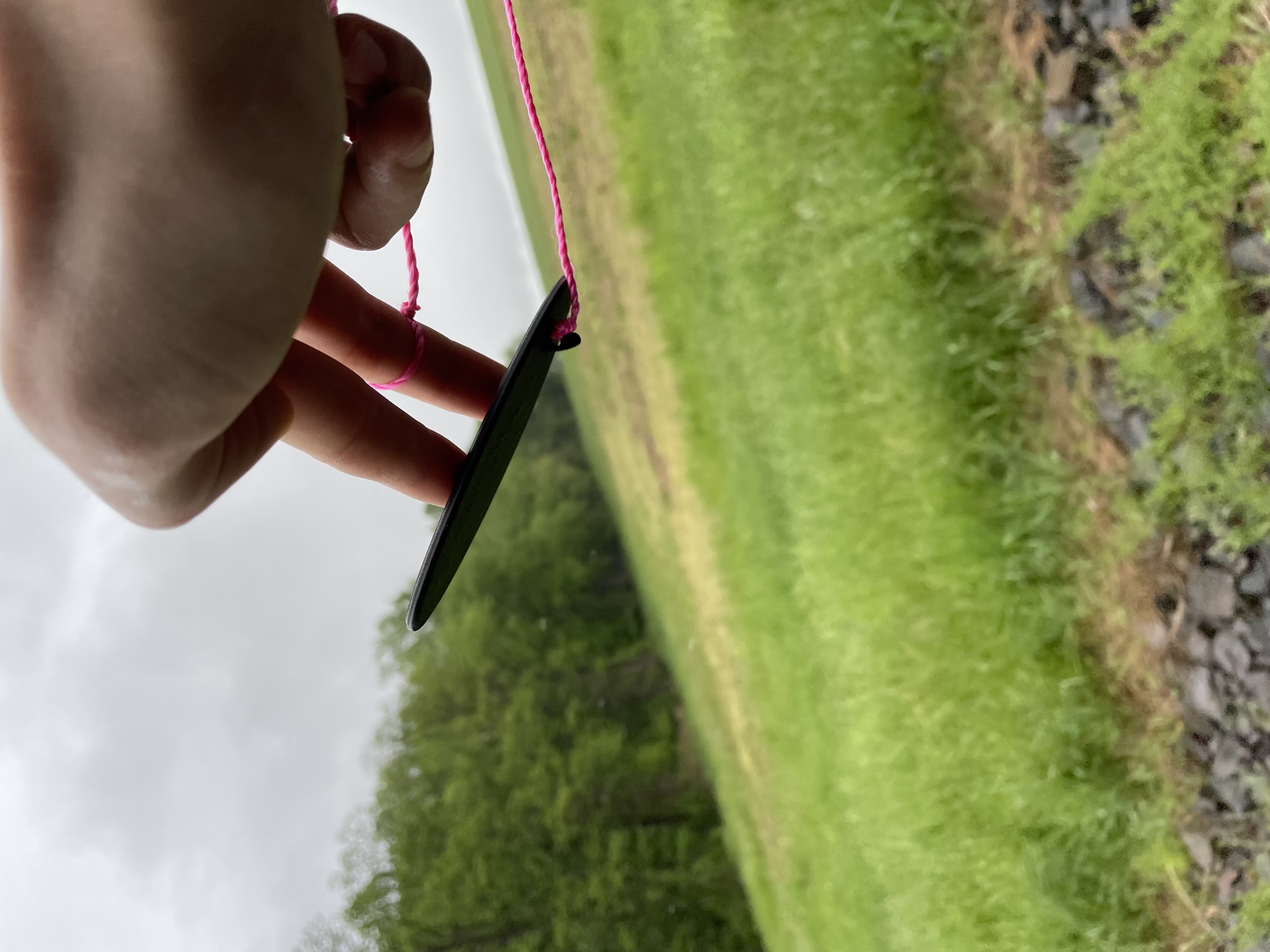 FingerSurfer