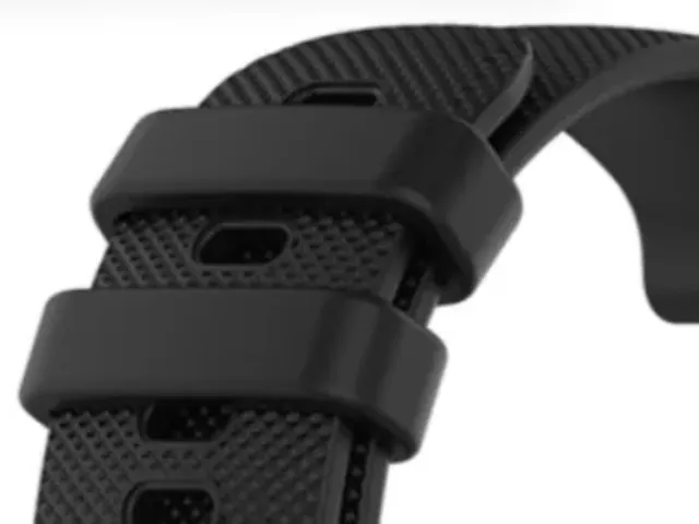 Garmin Vivoactive 3 Strap Keeper
