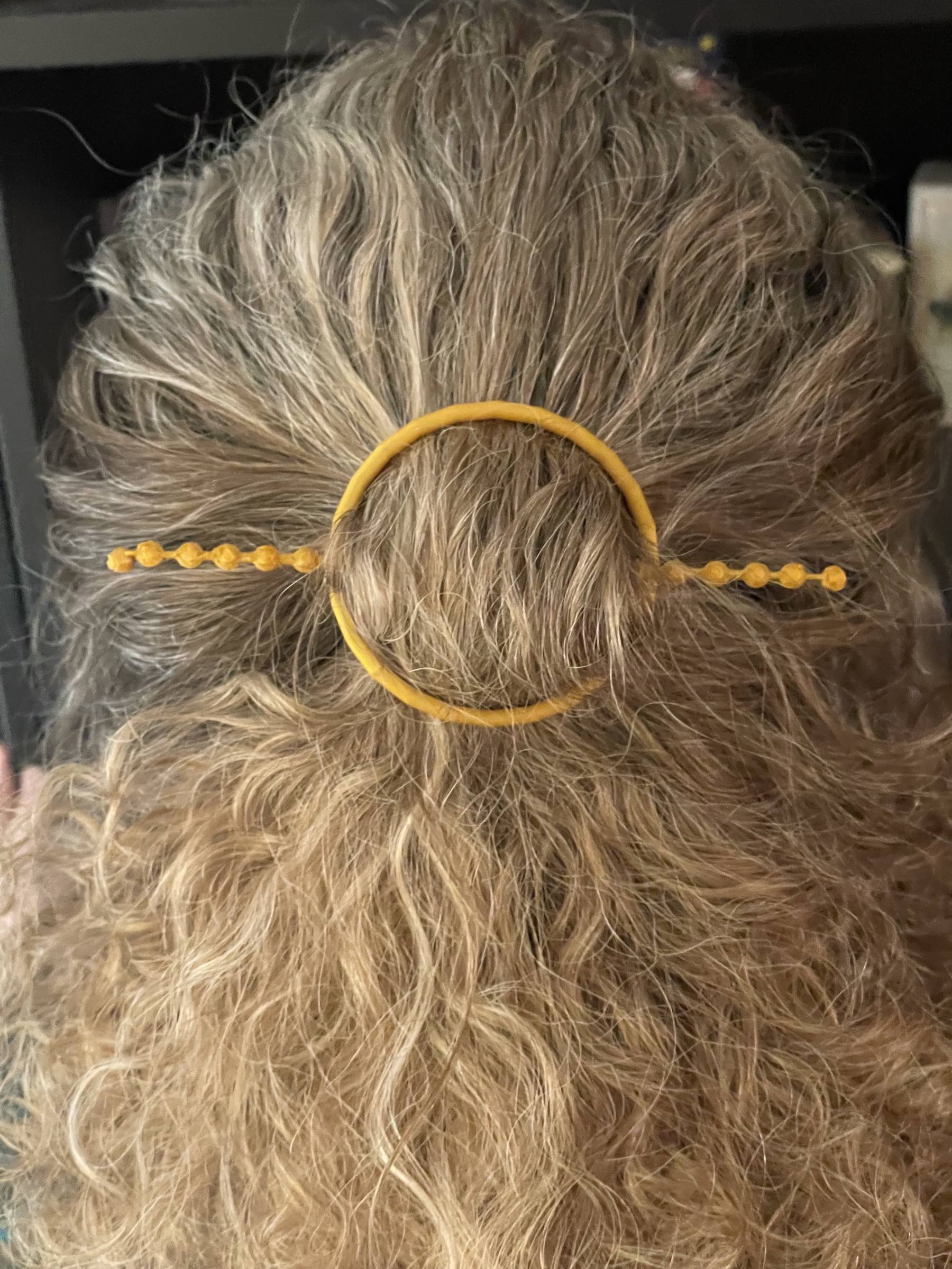 HairHolder