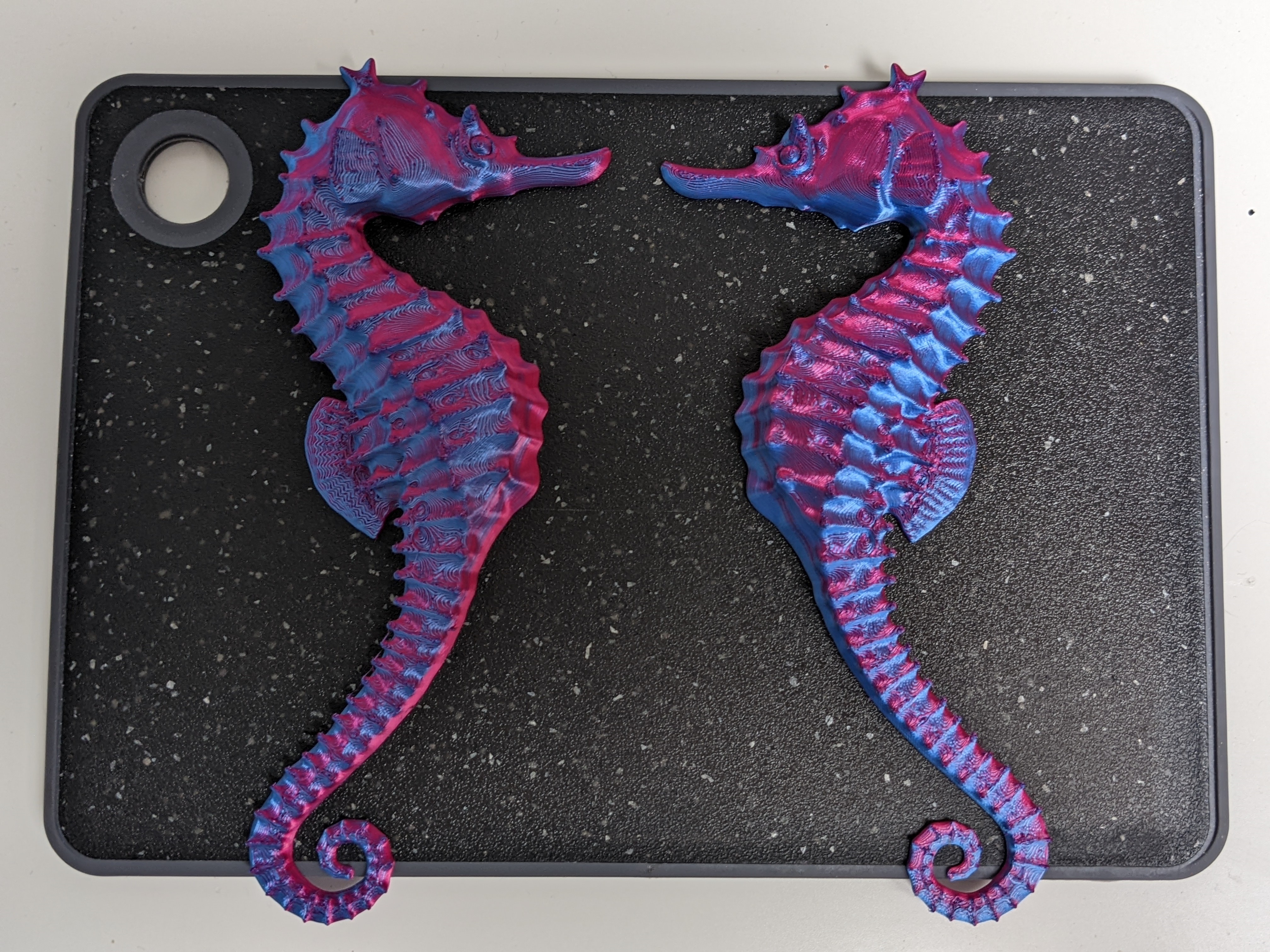 Seahorse symetric magnets