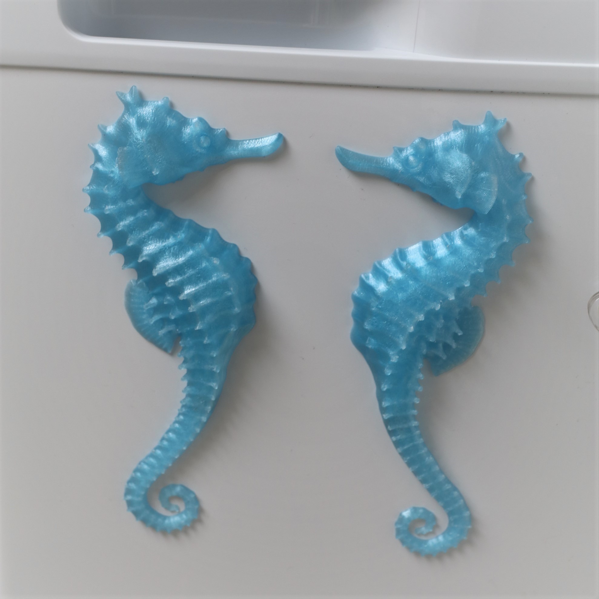 Seahorse symetric magnets by Denholm365 | Download free STL model ...