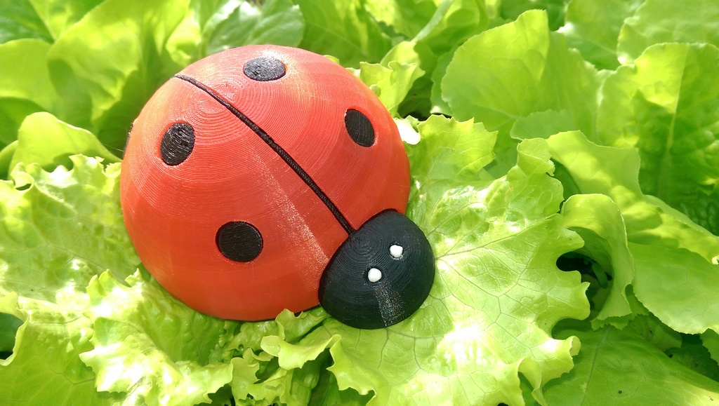 The Cute LadyBug!