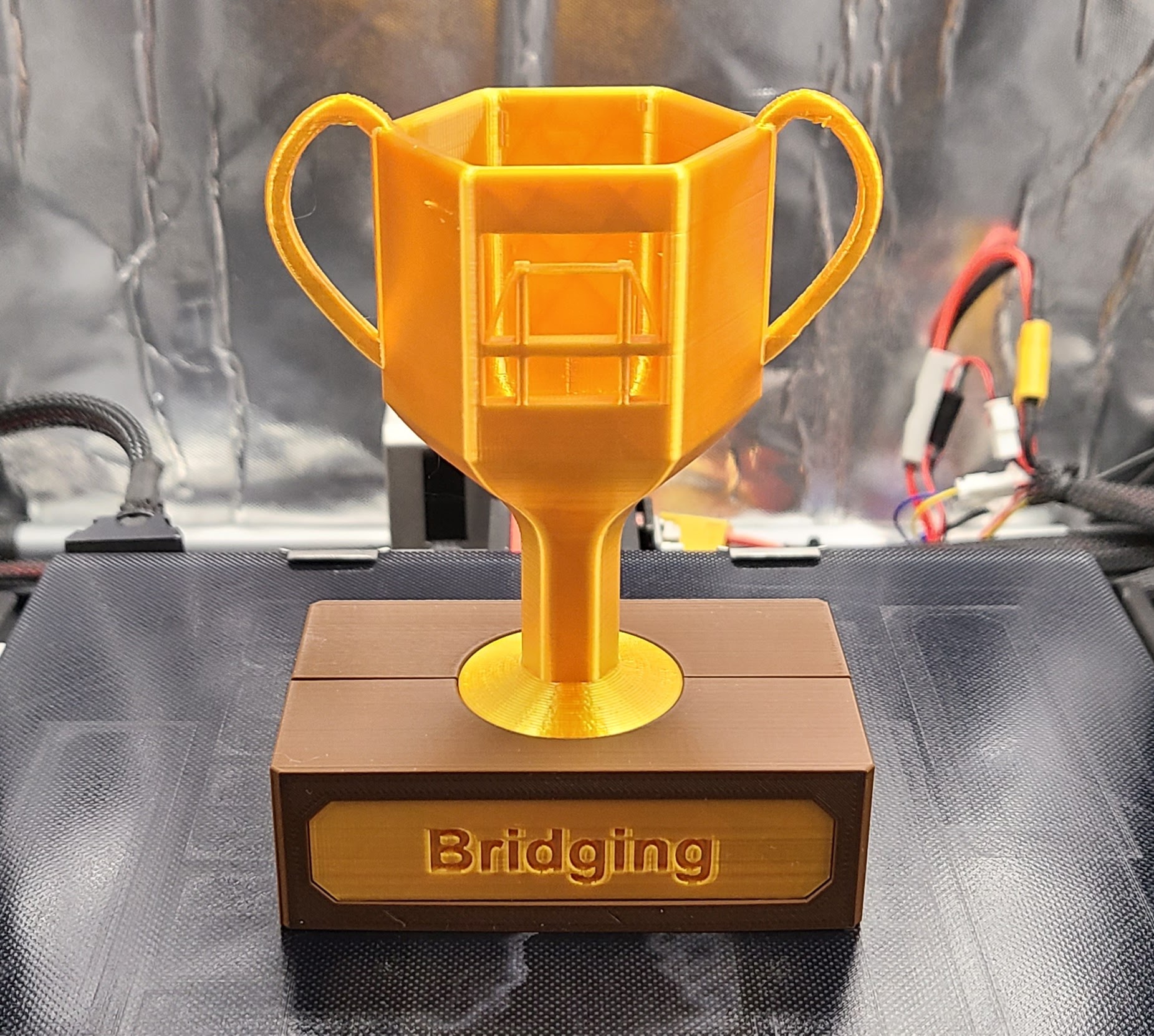 3D Printing Trophy: Bridging by Amos491 | Download free STL model ...