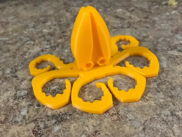 SQUID
