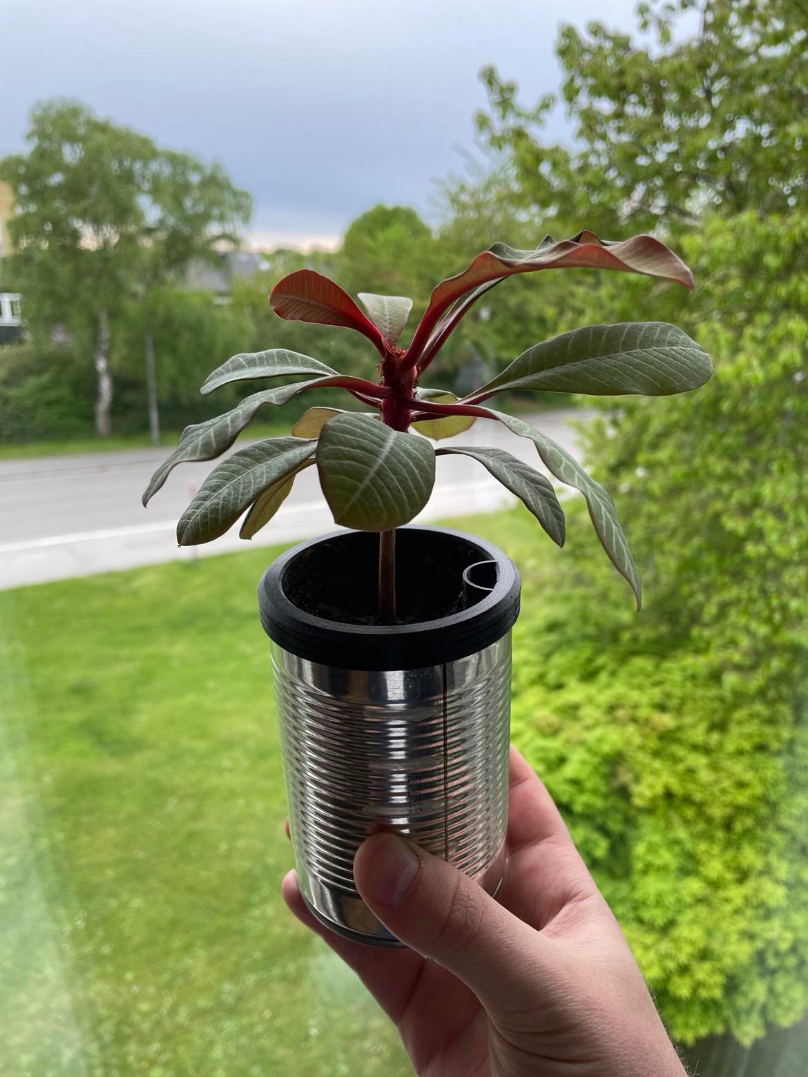Self-Watering Planter for EU Steel Can