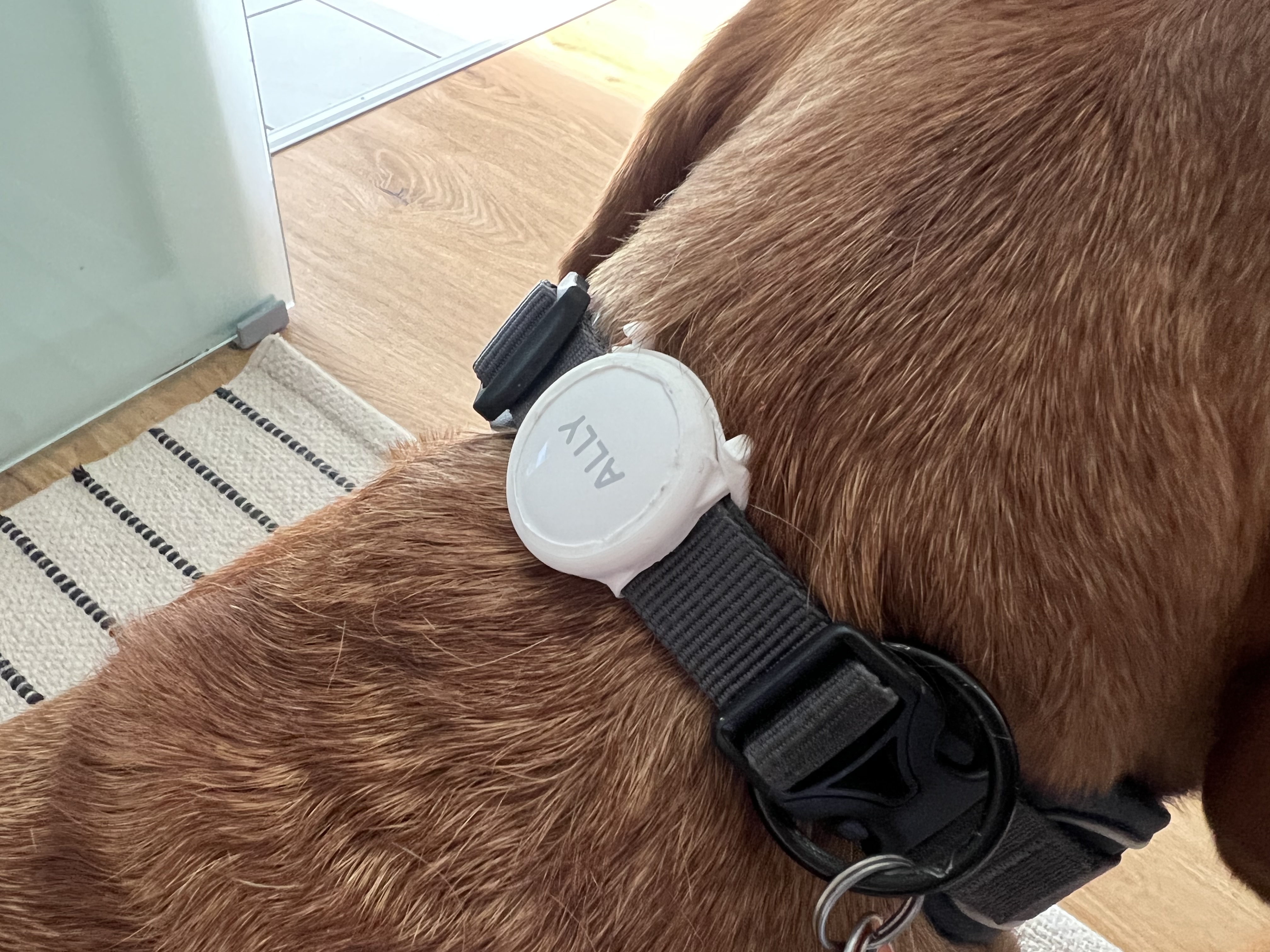 Airtag dog collar mount