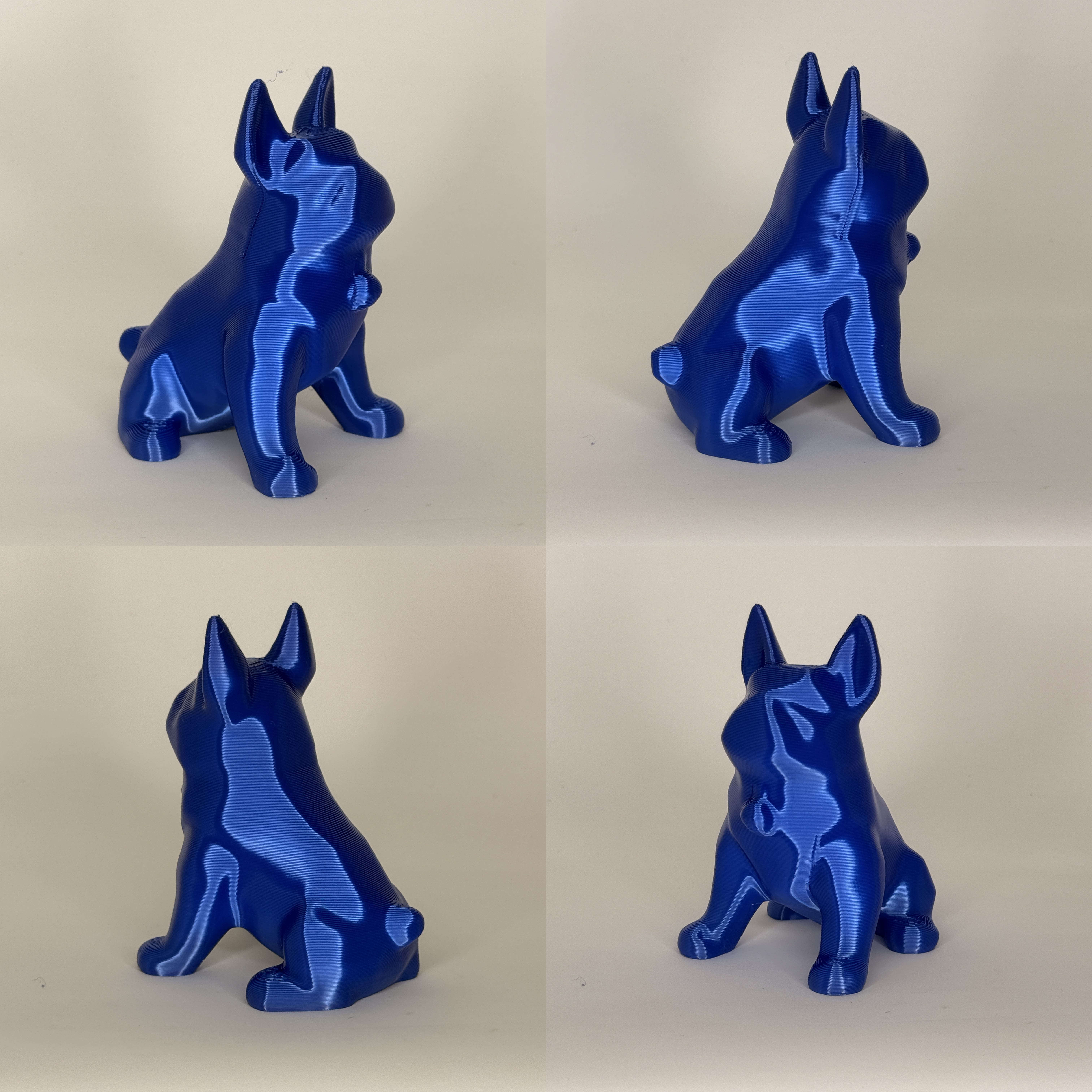 low poly bulldog