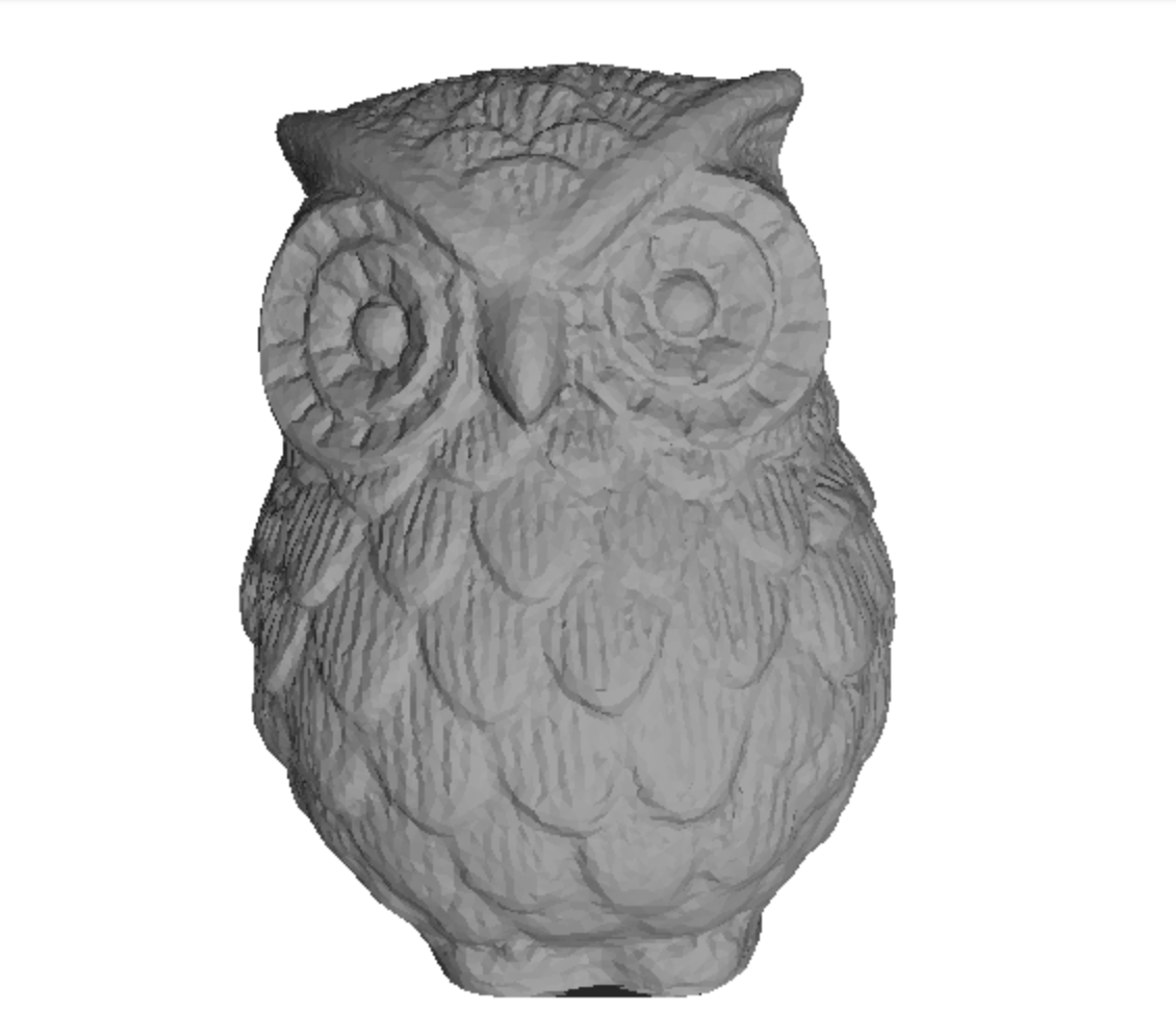 Owl