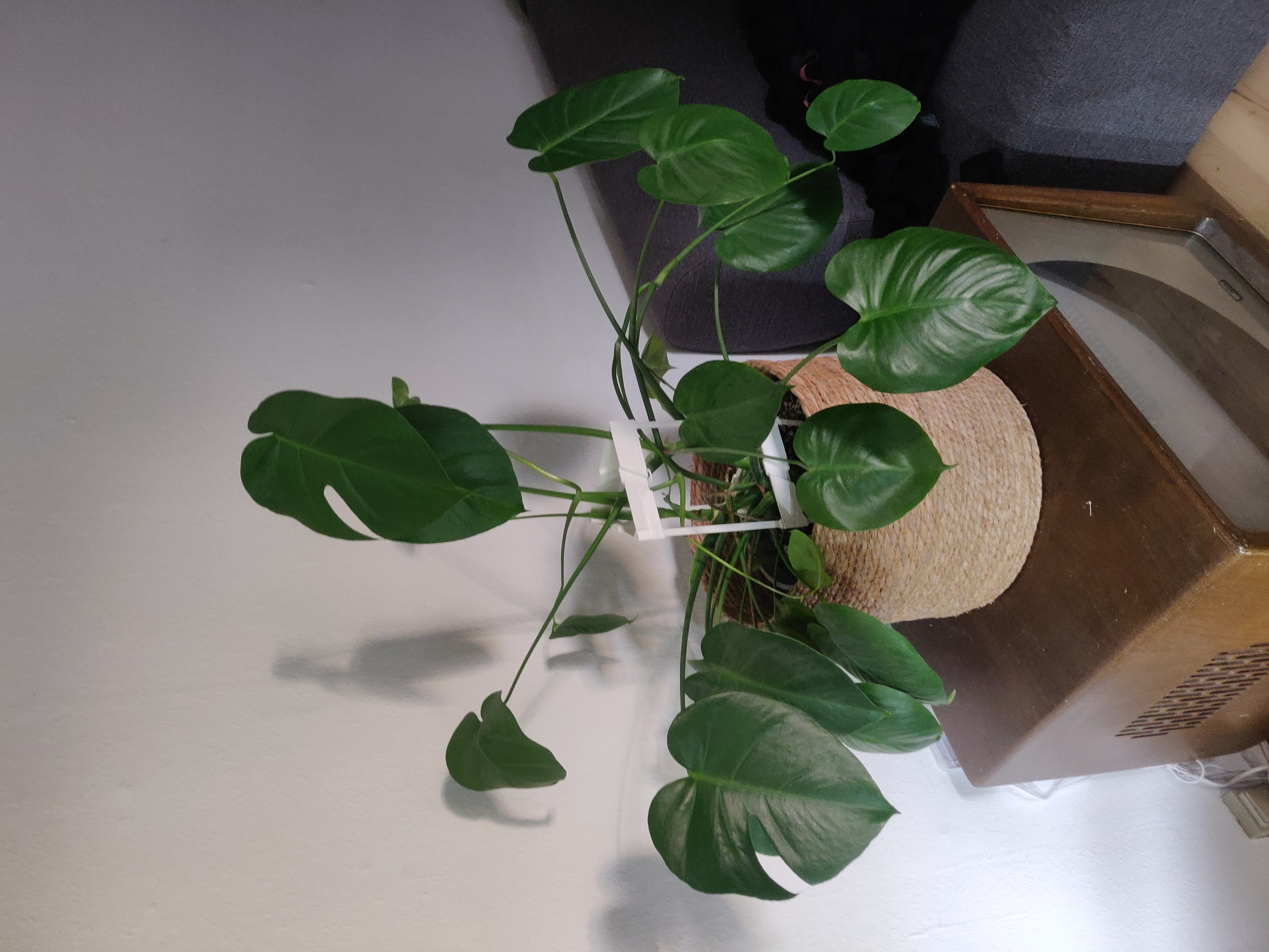 Stackable plant support remix