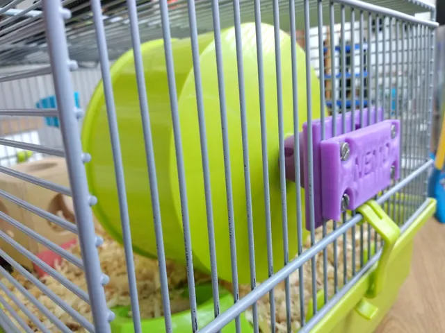 Hamster wheel - adjustment.