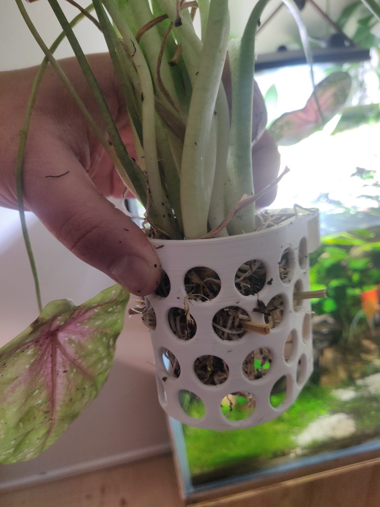 Aquarium surface plant hanger