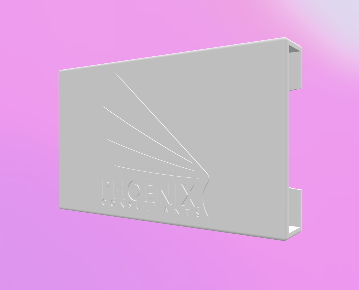 Business Card Holder (50x90mm Cards)
