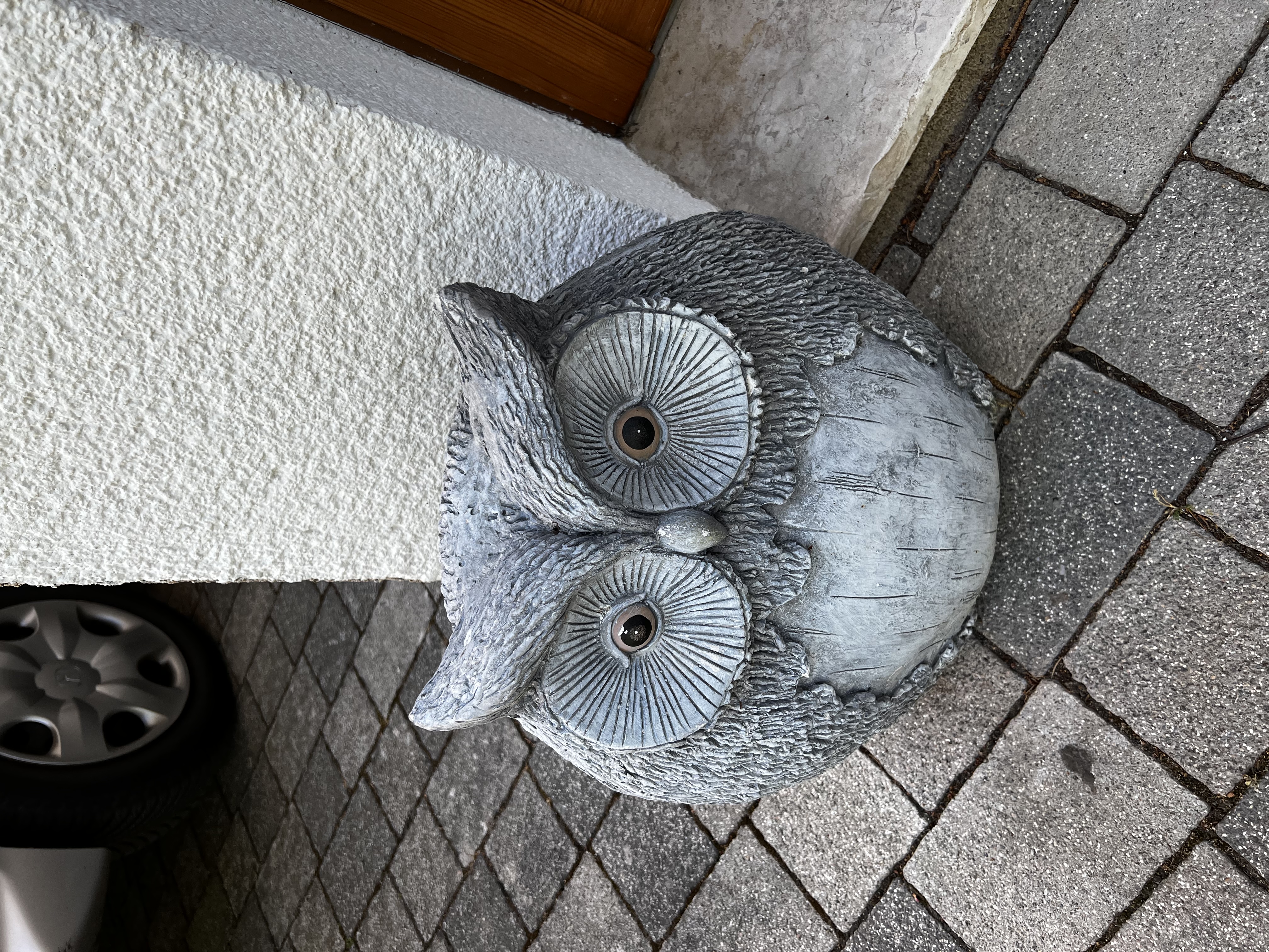 Owl Stature