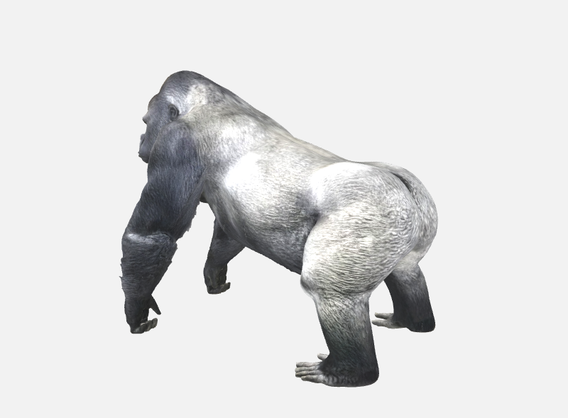 Mountain Gorilla — miniatura 3