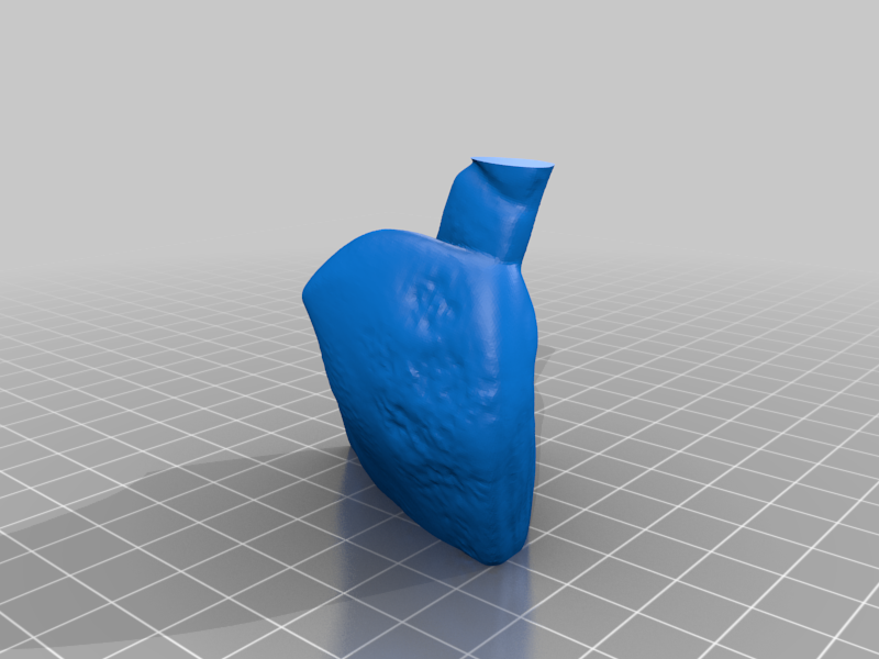 Miniatura 15 do modelo 3D Cat Skull Mask
