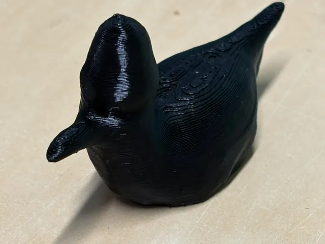 Gull/Duck