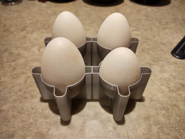 Goose Egg Crate / Carton