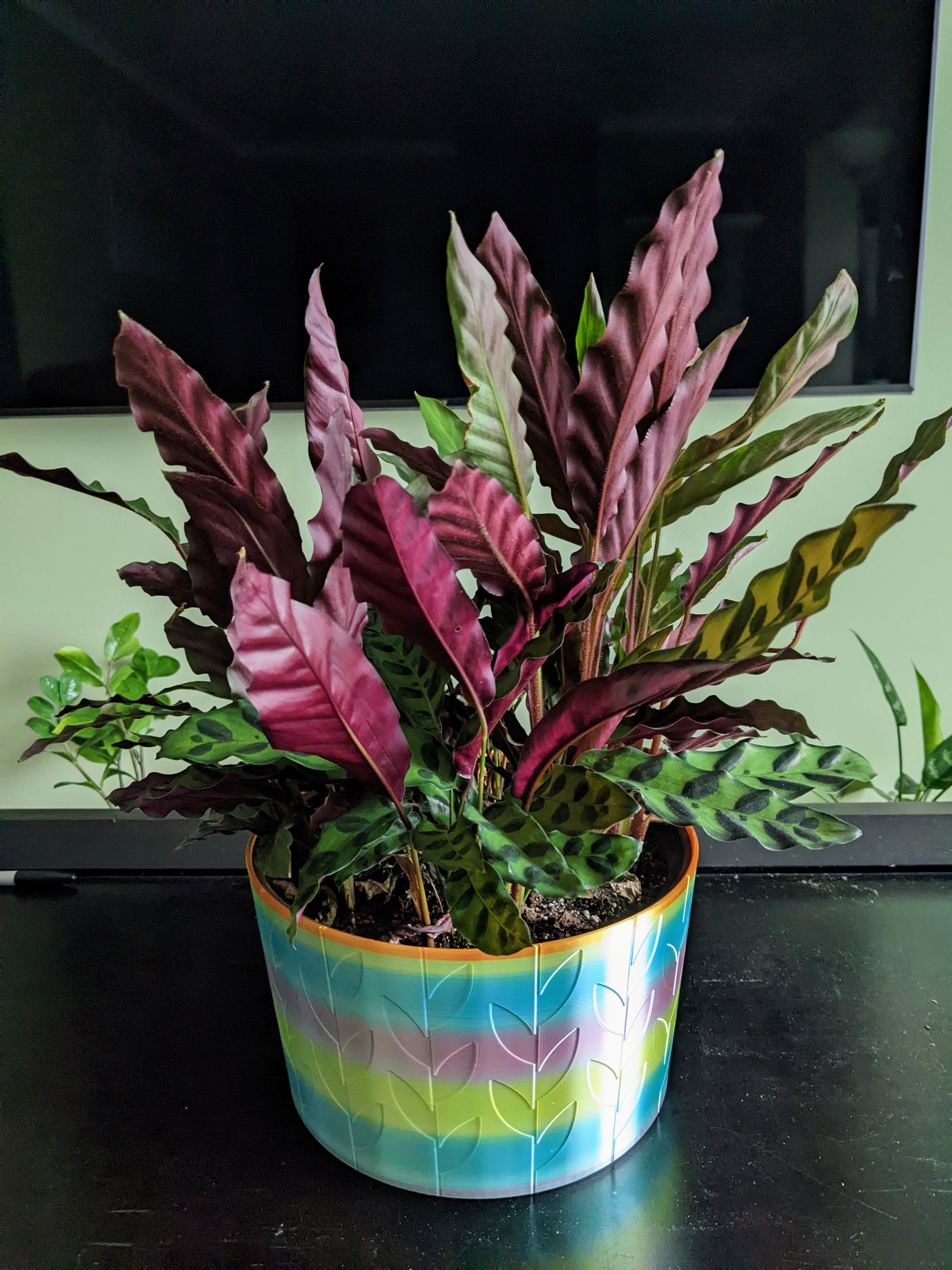 Plant pot air pruning two piece design