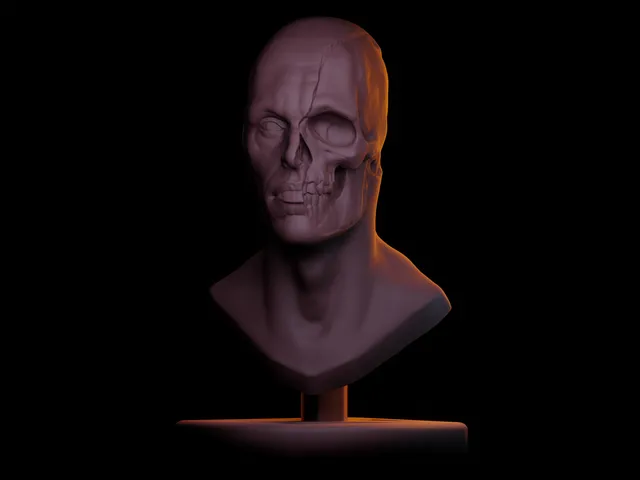 Bust Study