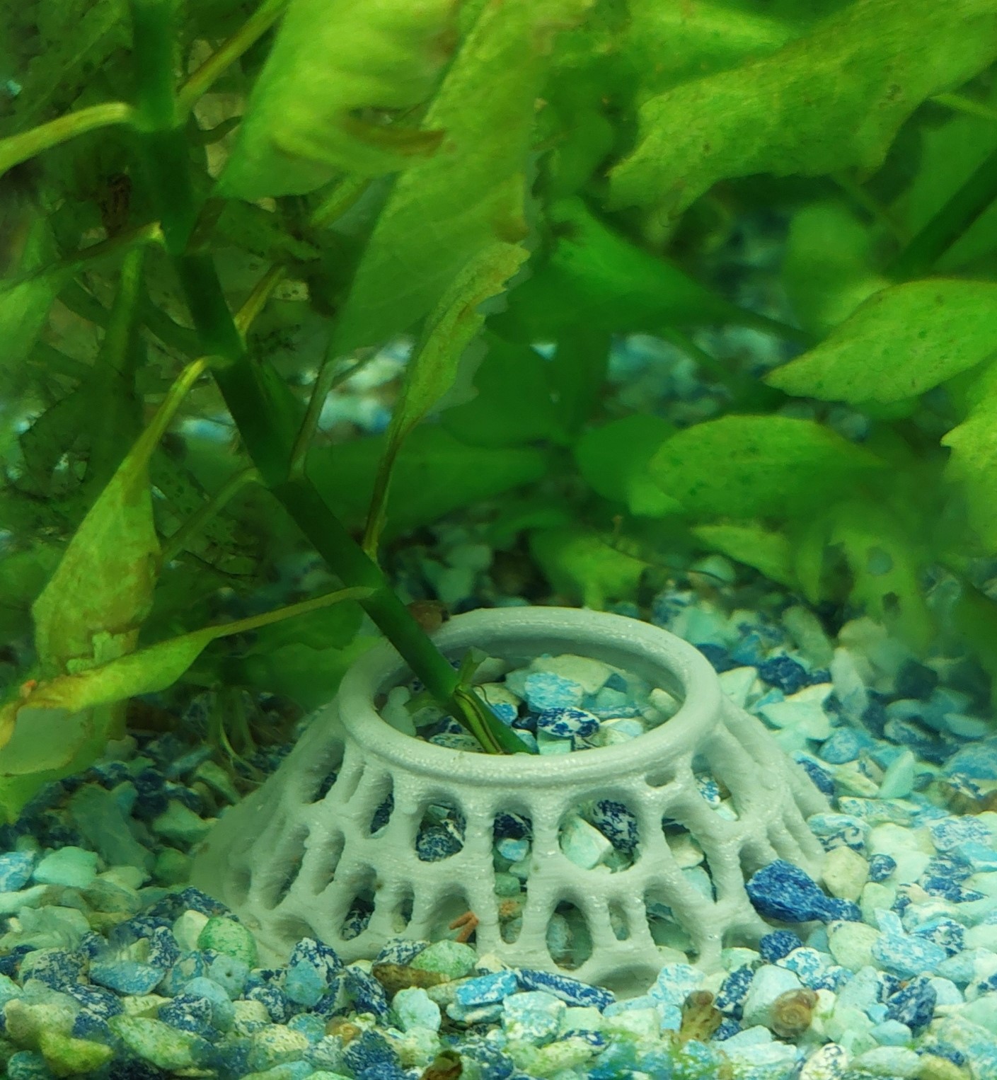 Aquarium Planter