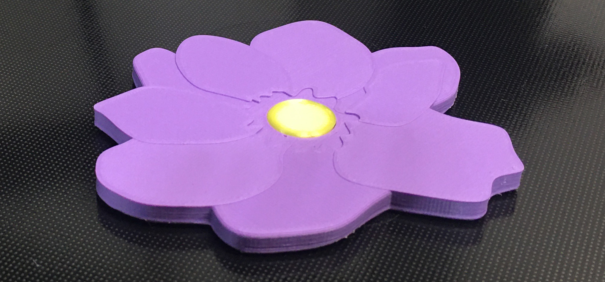 Flower Coaster