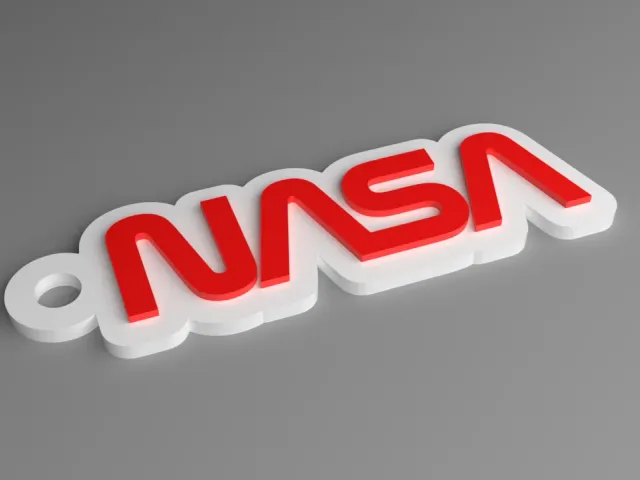 NASA Keyring - Worm Logo Contoured (Raised)