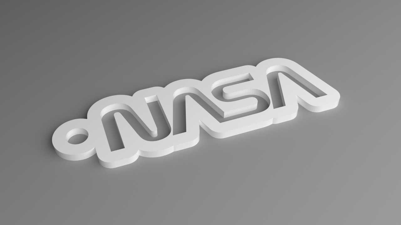 NASA Keyring - Worm Logo Contoured (Punched)