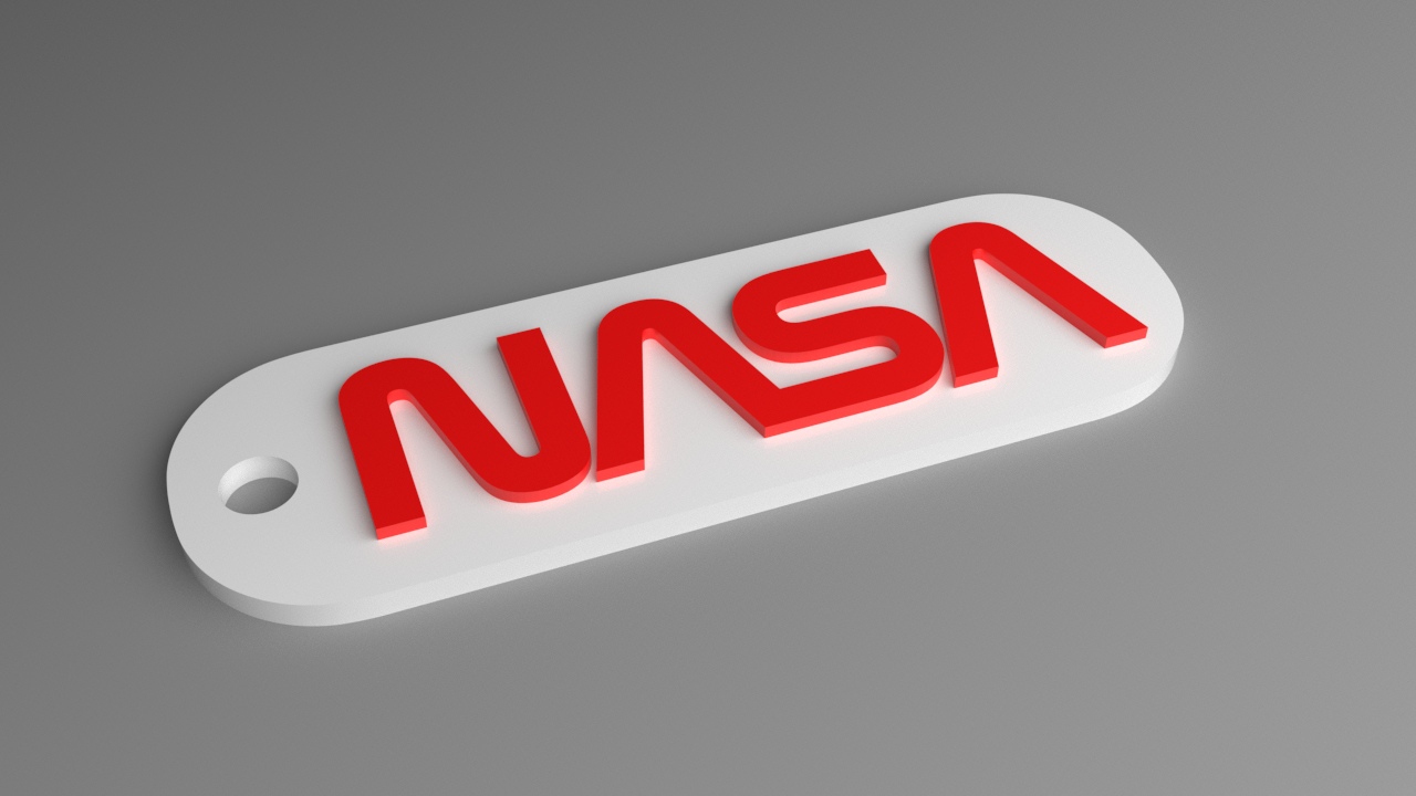 NASA Keyring - Worm Logo Fob (Raised)
