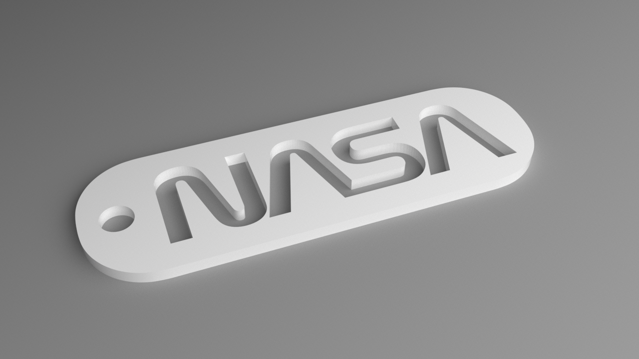 NASA Keyring - Worm Logo Fob (Punched)
