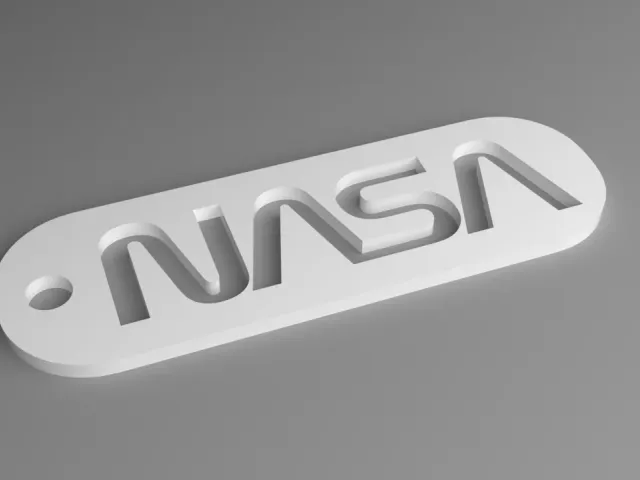 NASA Keyring - Worm Logo Fob (Punched)