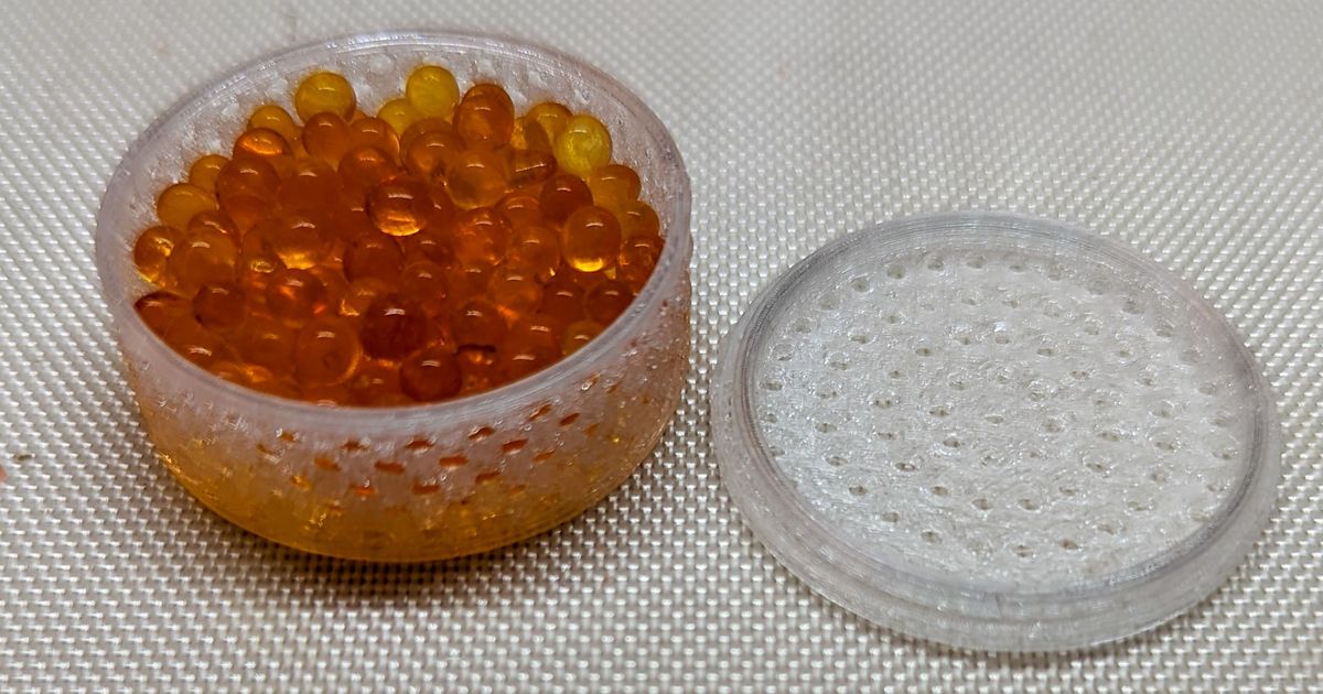 Hearing Aid Desiccant by ChristieLeeEMT Download free STL model