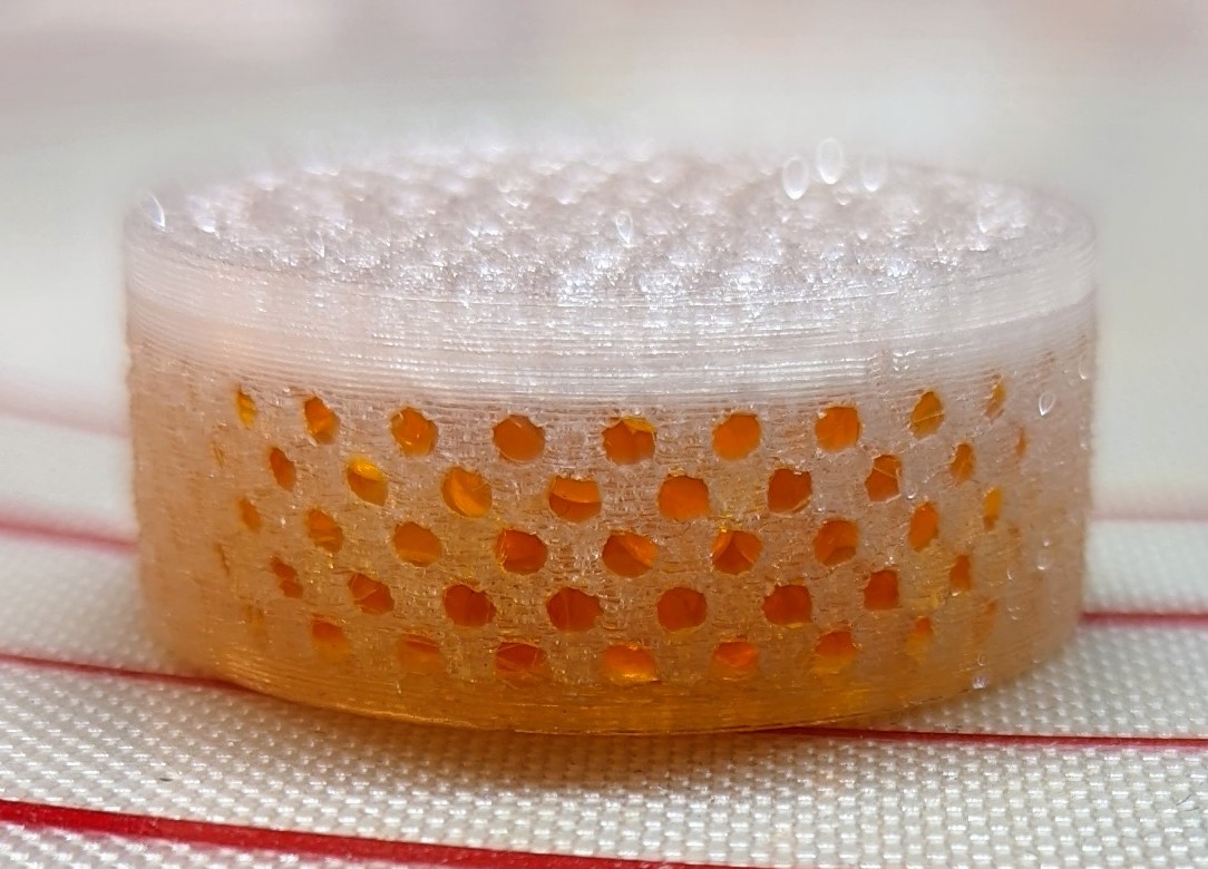 Hearing Aid Desiccant by ChristieLeeEMT Download free STL model