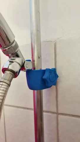 Shower Holder with peg