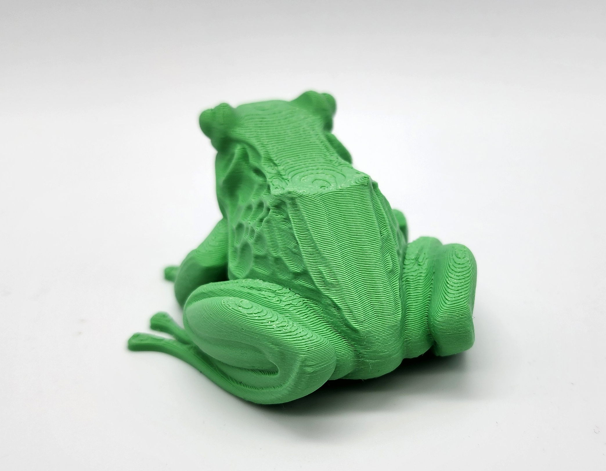Miniatura 5 do modelo 3D Realistic Frog
