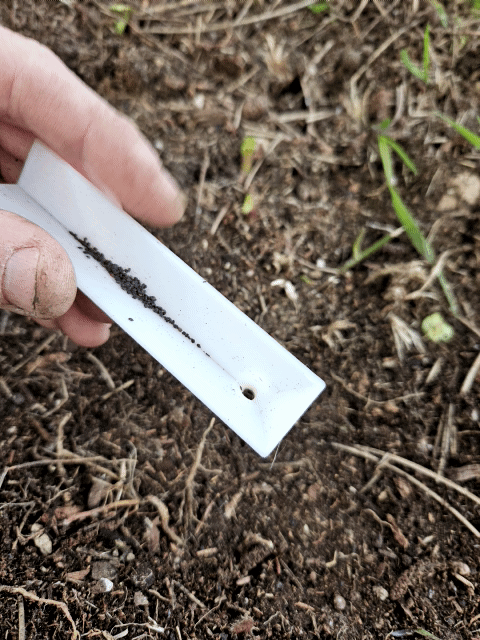 Small seed spreader