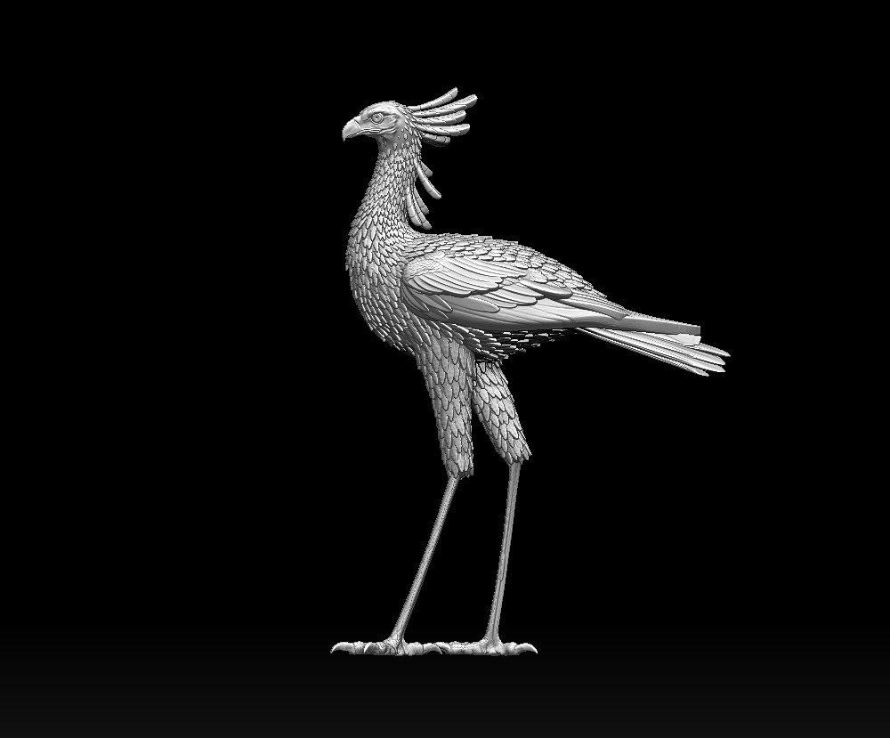 bird secretary