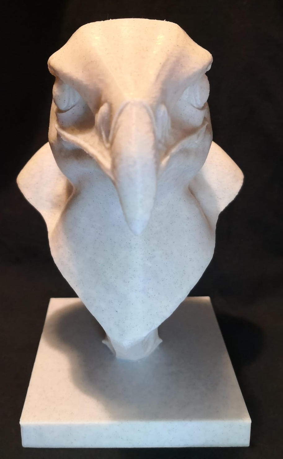 Miniatura 3 do modelo 3D Eagle Head Bust