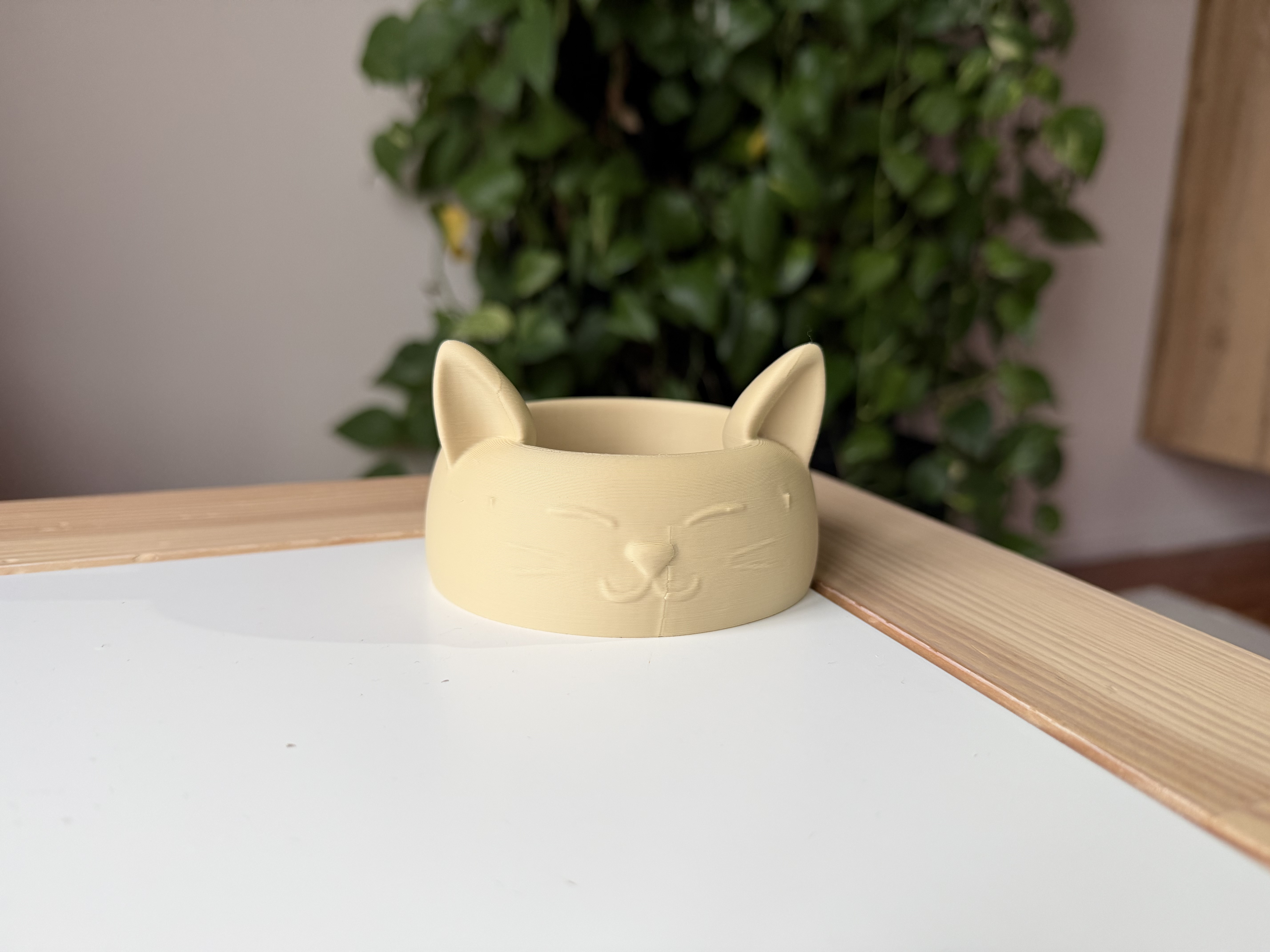Cat-bowl