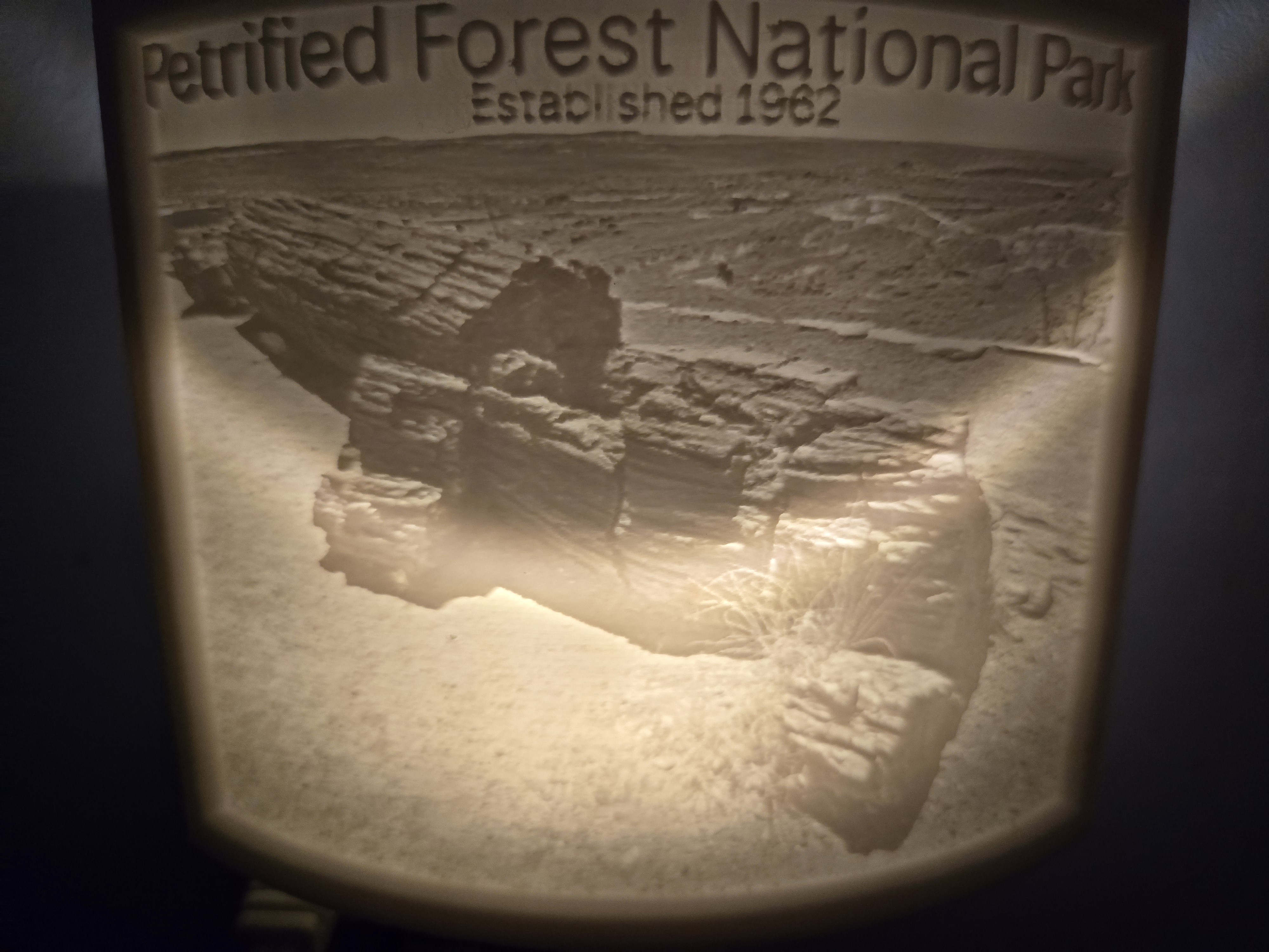 Petrified Forest National Park Nightlight Lithphane