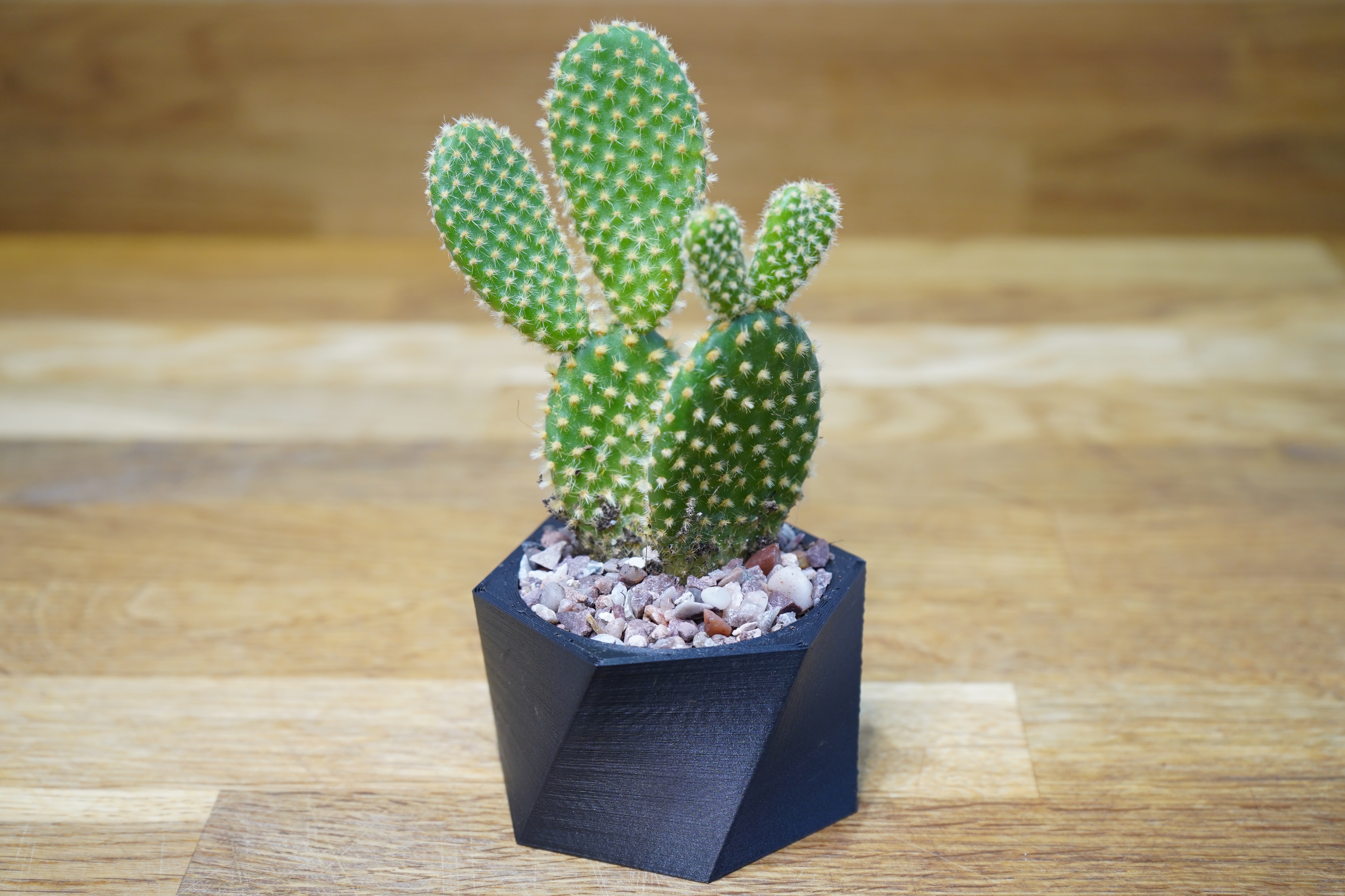 Miniatura 2 do modelo 3D Twisted Hexagon Planter