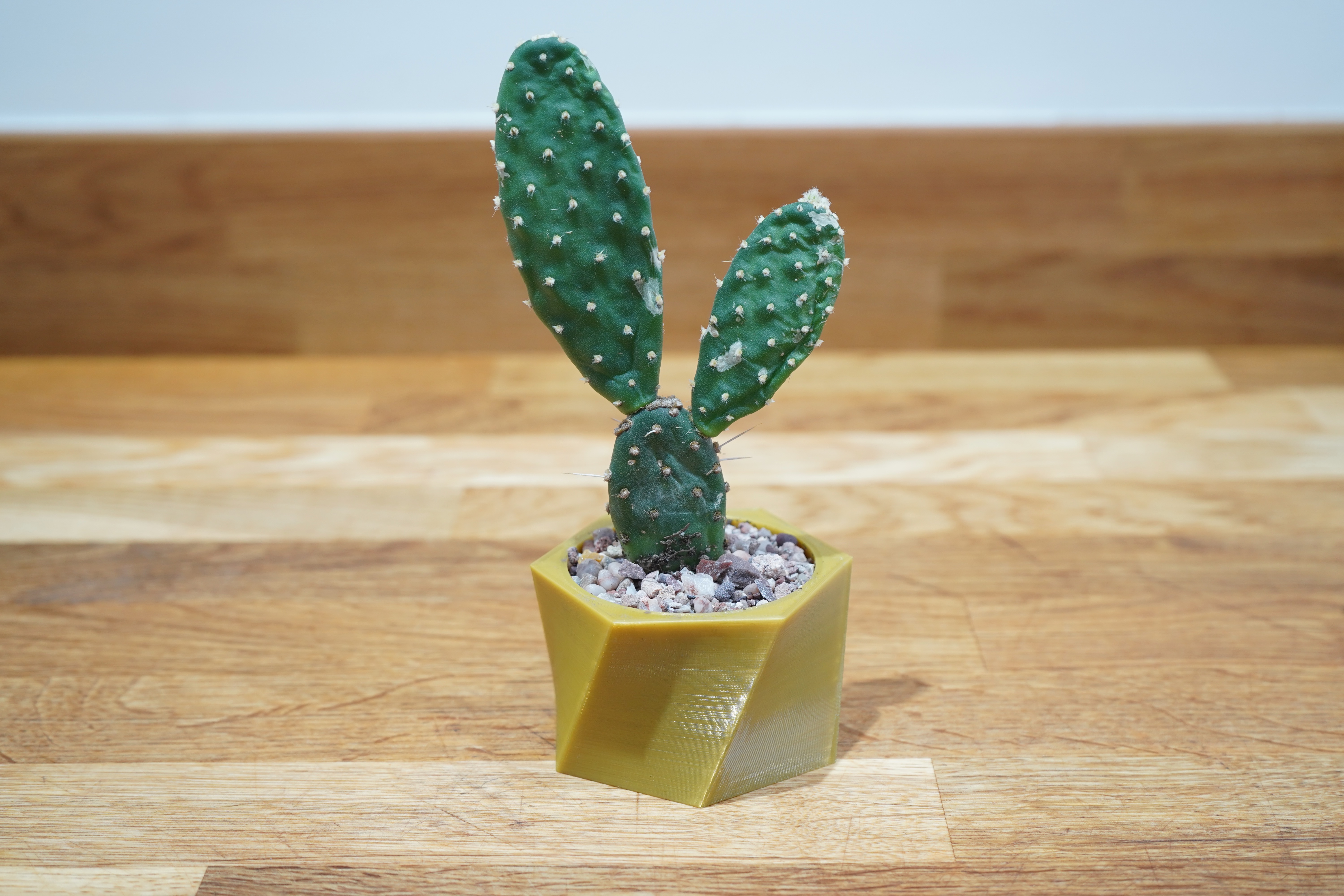 Miniatura 3 do modelo 3D Twisted Hexagon Planter