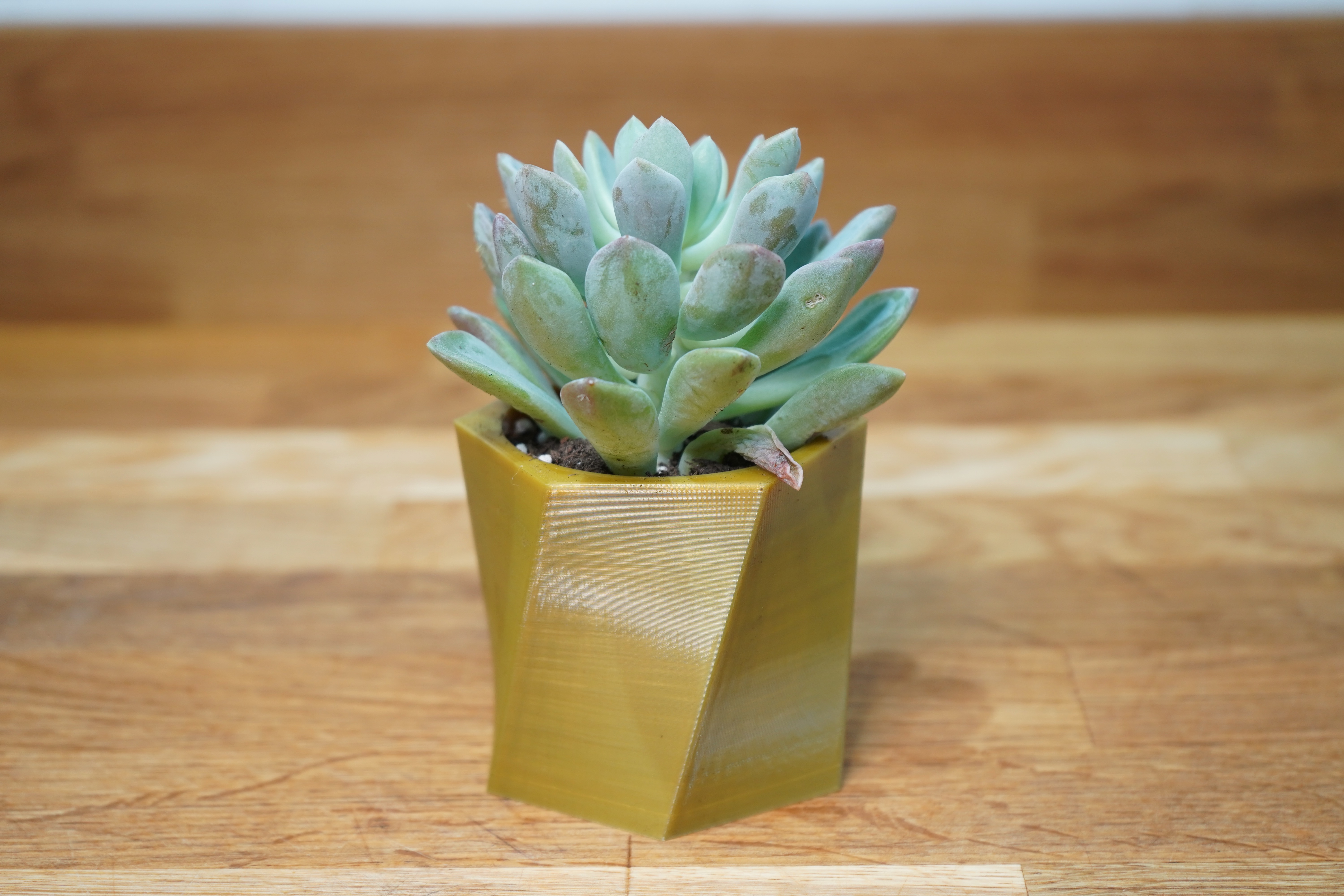 Miniatura 4 do modelo 3D Twisted Hexagon Planter