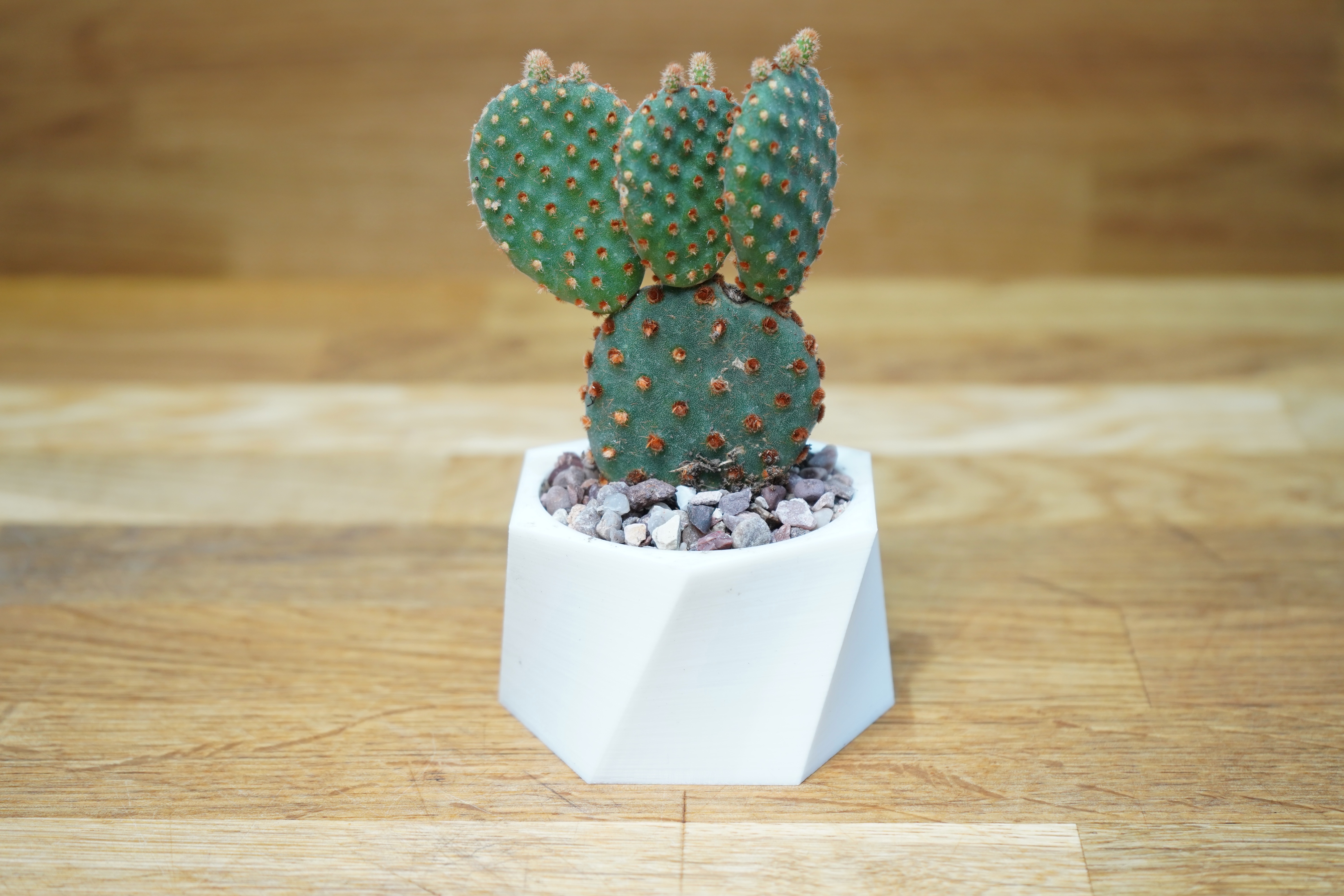 Miniatura 5 do modelo 3D Twisted Hexagon Planter