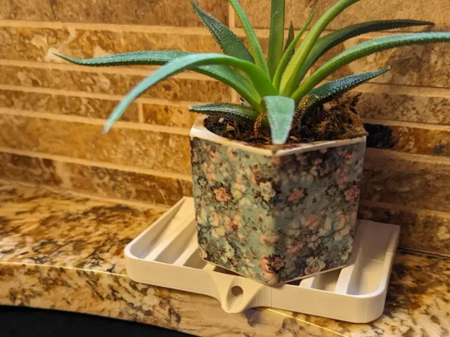 Soap Rest