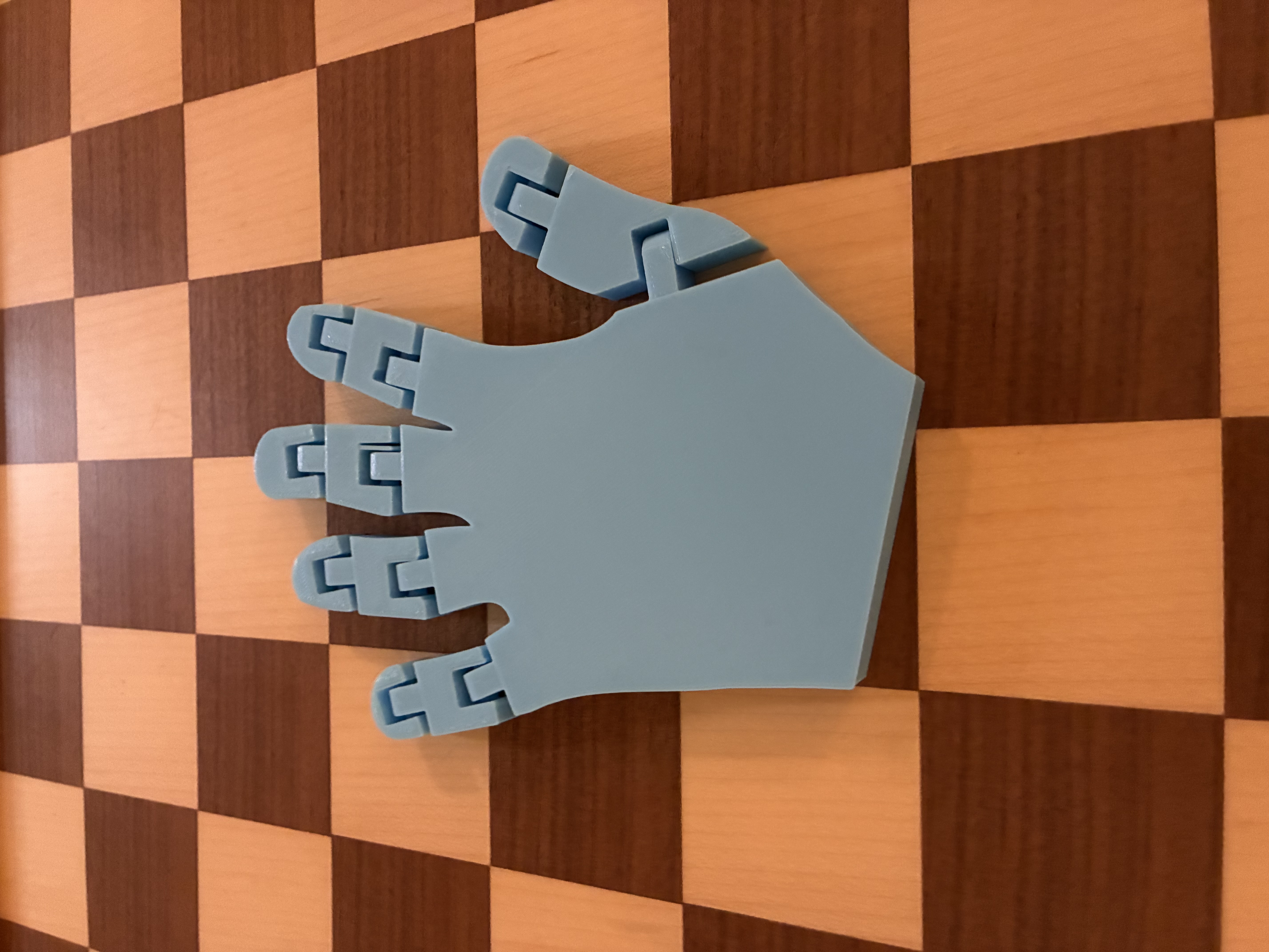 Miniatura 2 do modelo 3D Articulated Hand